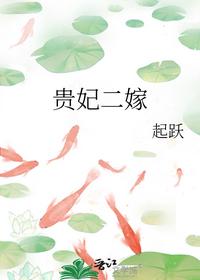 贵妃二嫁